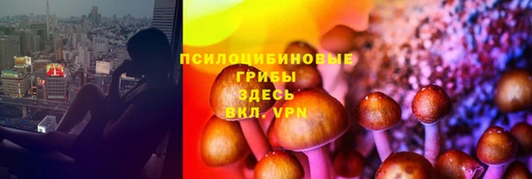 кристаллы Кодинск
