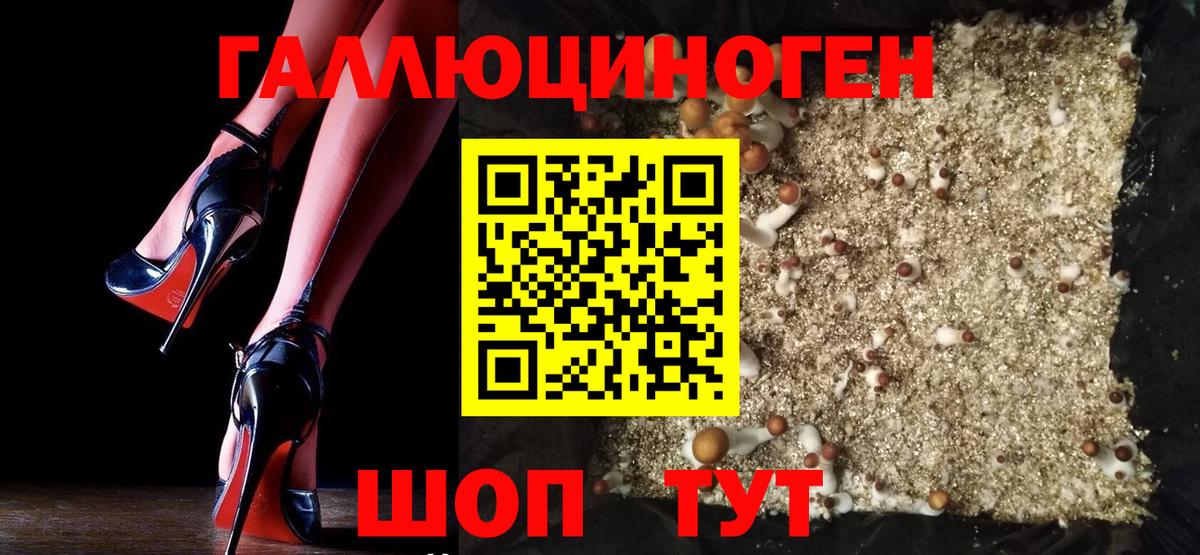 Галлюциногенные грибы Psilocybe  Галлюциногенные грибы ЛСД  Бердск 