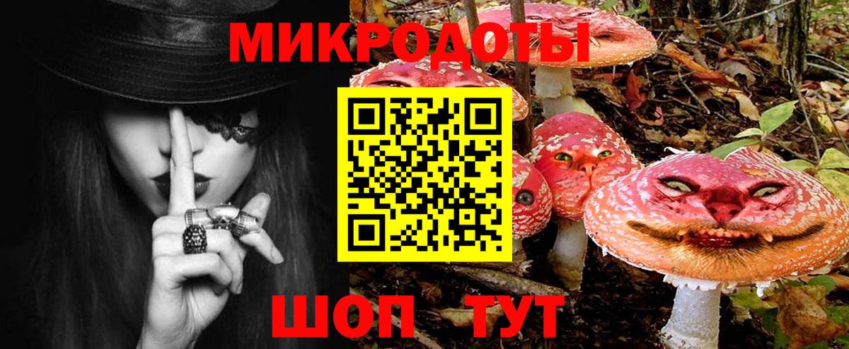 Псилоцибиновые грибы мицелий Бердск