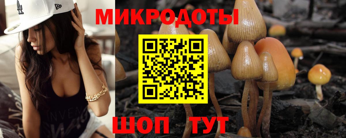 Бердск  Псилоцибиновые грибы мухоморы  Вход с VPN 